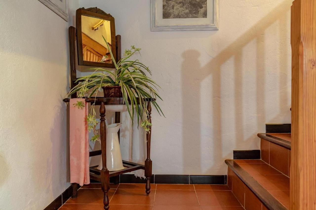 Villa Suari *